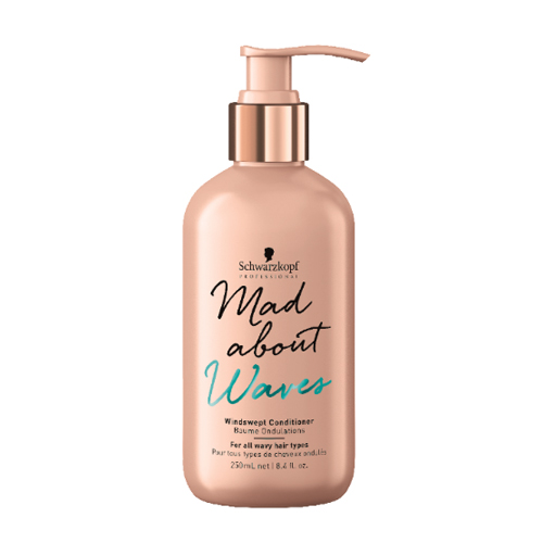 WINDSWEPT CONDITIONER WINDSWEPT CONDITIONER